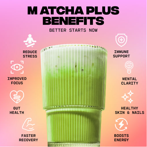 Matcha+ Starter Kit (30 Servings) - Easy Matcha Ready
